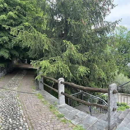 Un Sogno Nella Natura * Agarone