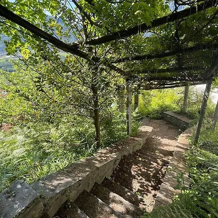 Un Sogno Nella Natura Tatil Evi